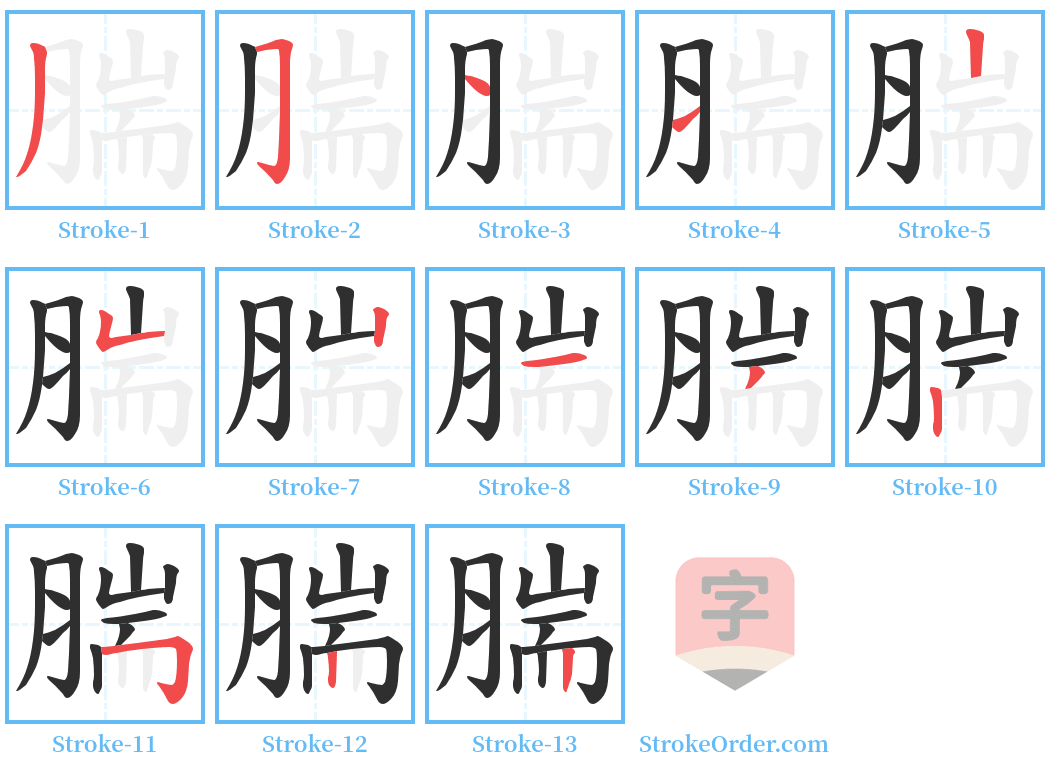 腨 Stroke Order Diagrams