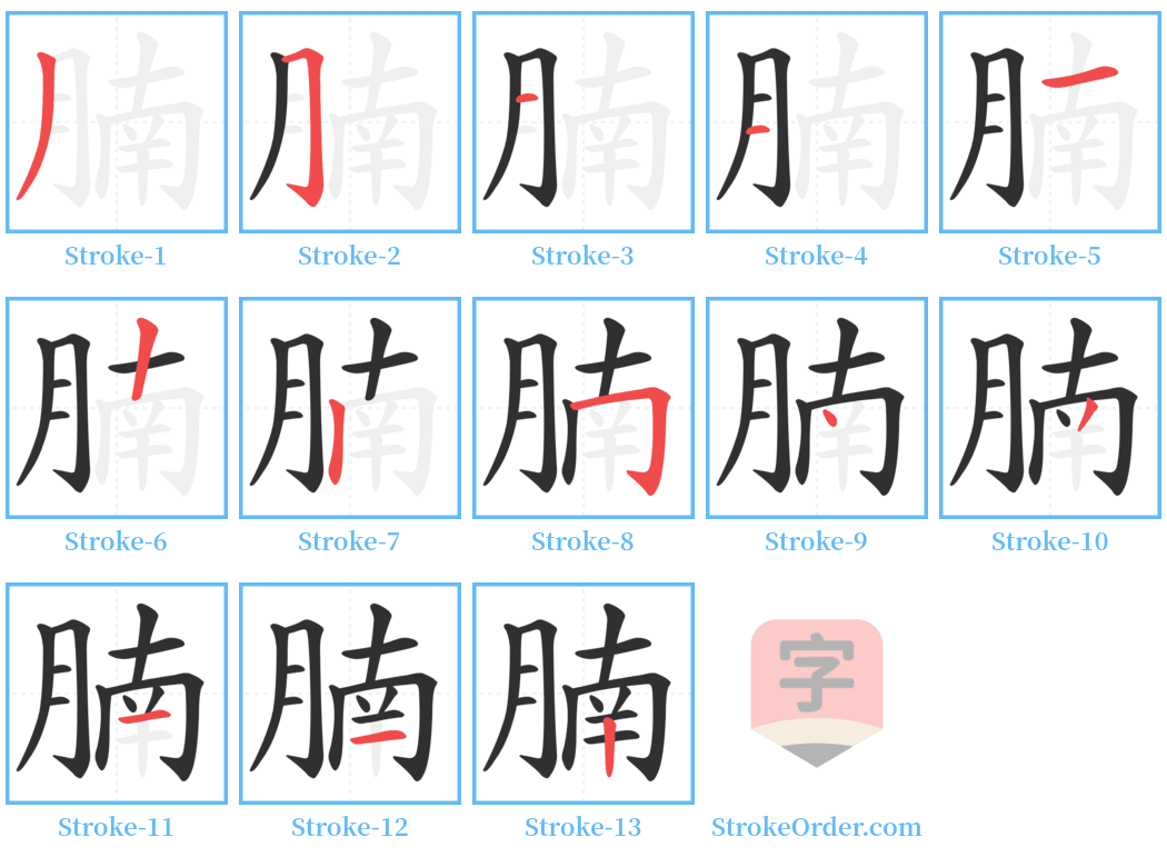 腩 Stroke Order Diagrams