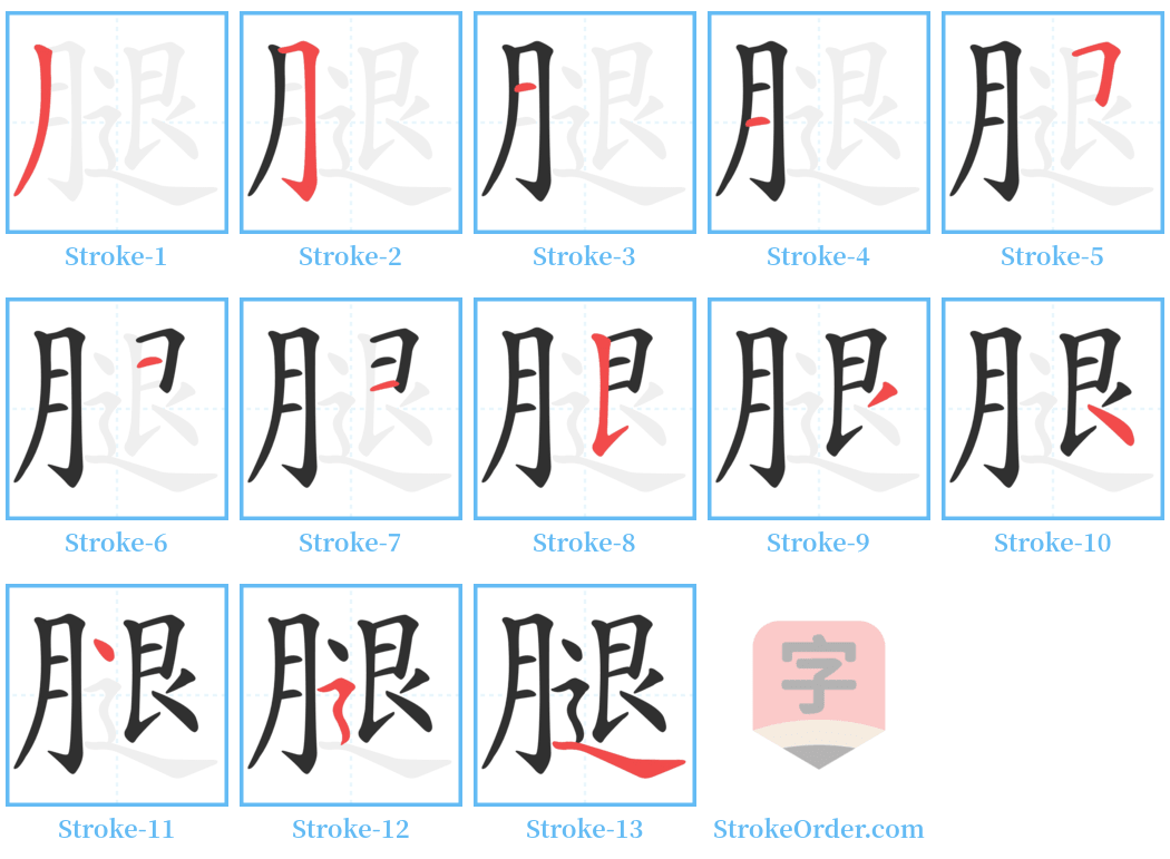 腿 Stroke Order Diagrams