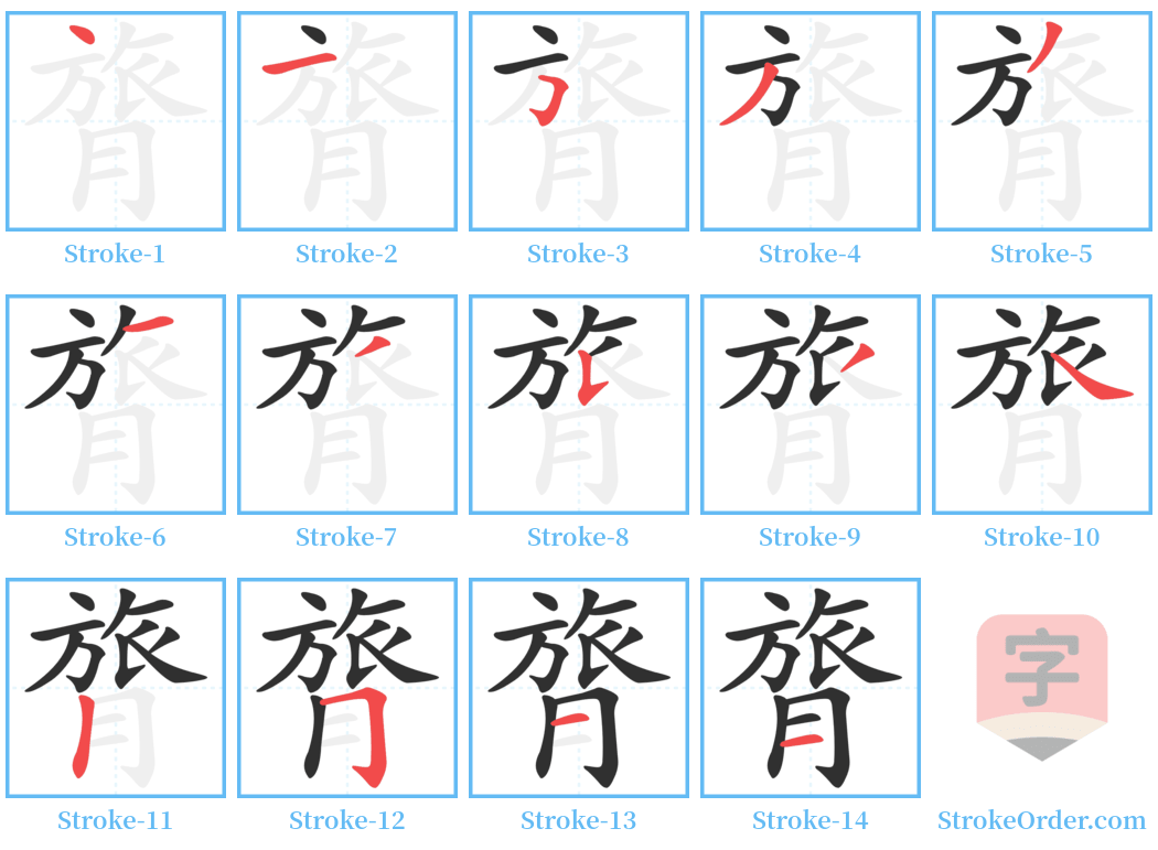 膂 Stroke Order Diagrams