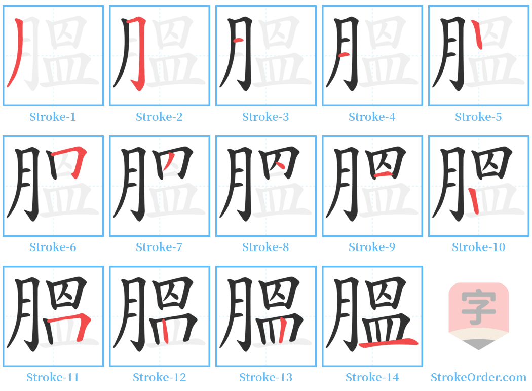 膃 Stroke Order Diagrams