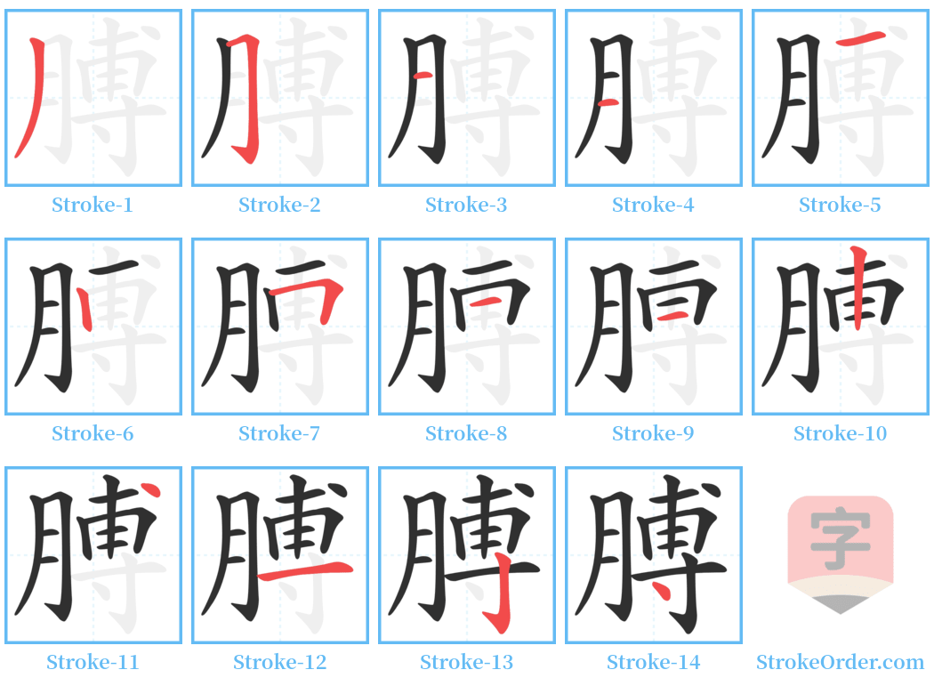 膊 Stroke Order Diagrams