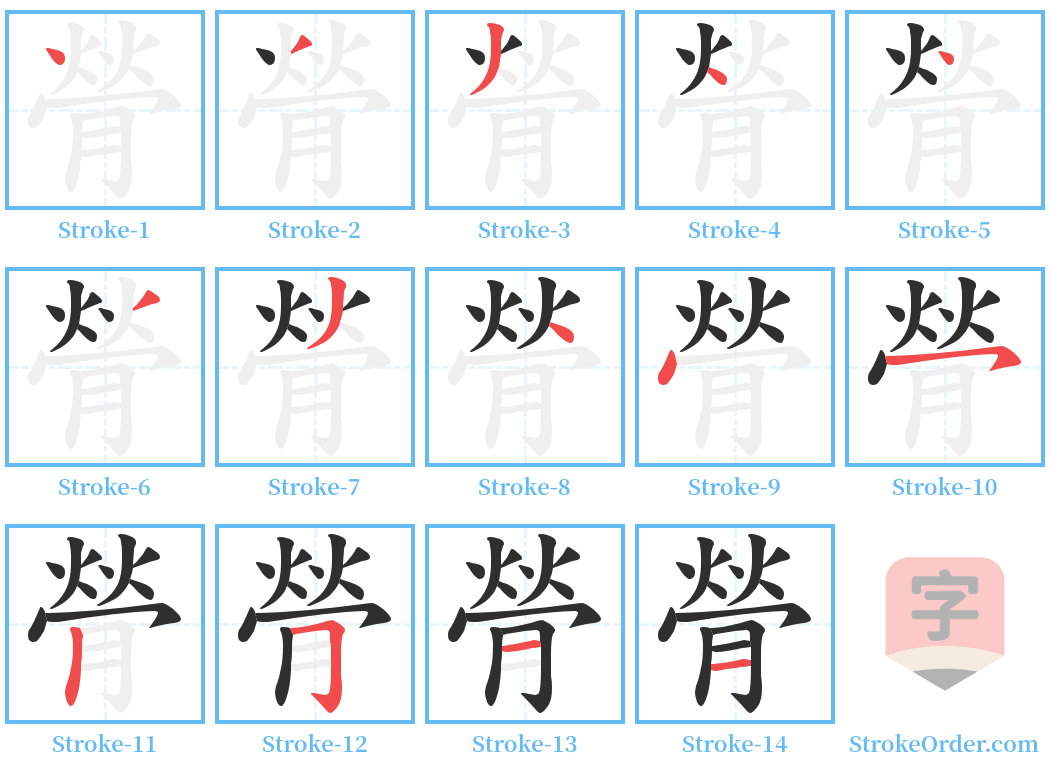 膋 Stroke Order Diagrams