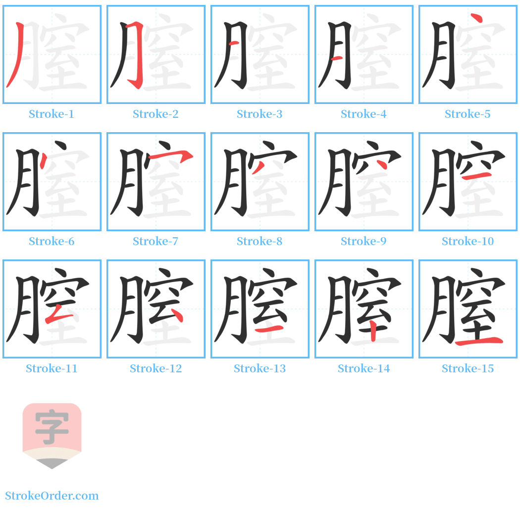 膣 Stroke Order Diagrams