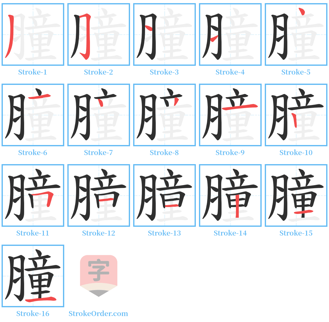 膧 Stroke Order Diagrams