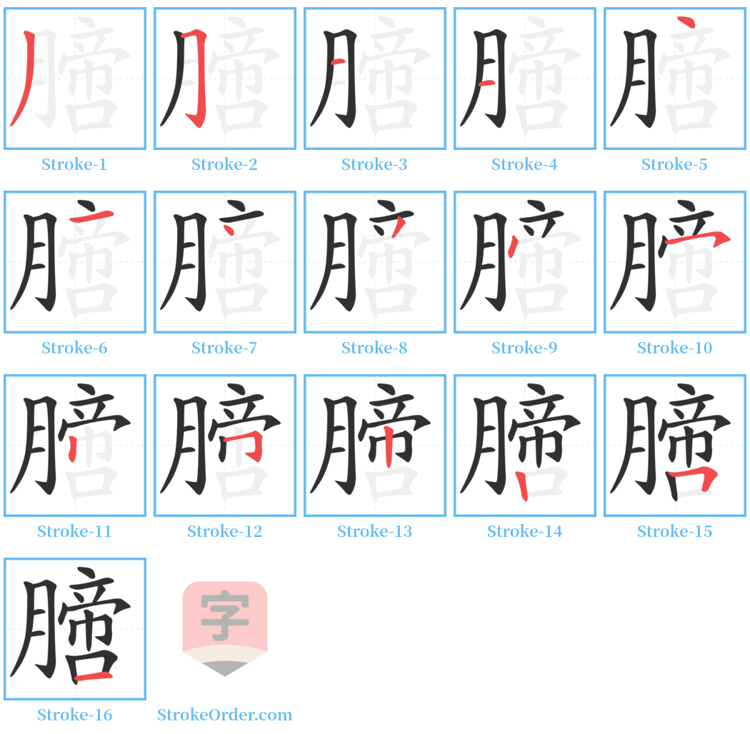 膪 Stroke Order Diagrams