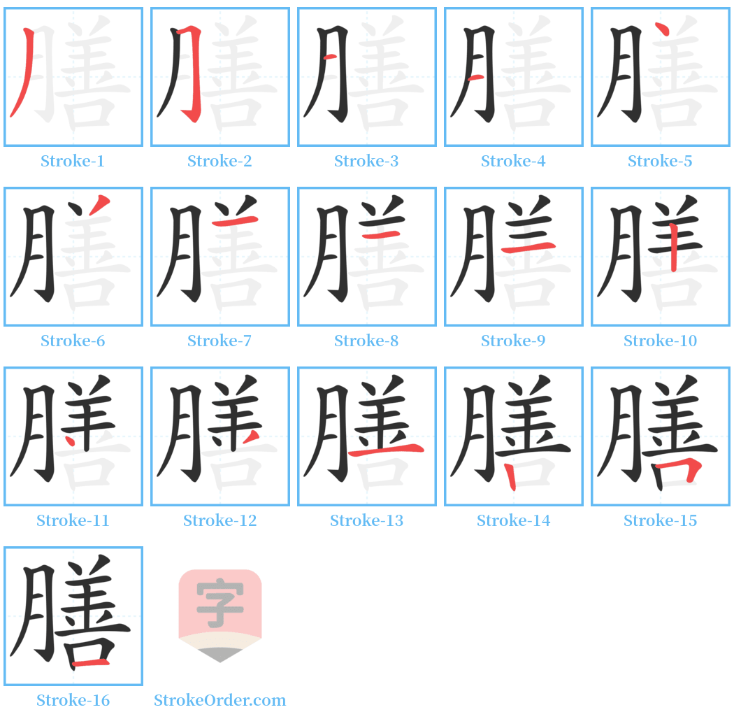 膳 Stroke Order Diagrams