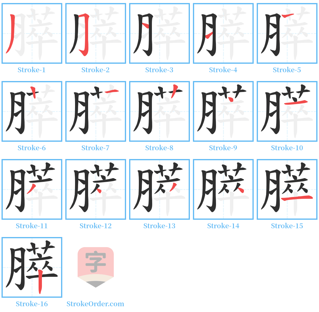 膵 Stroke Order Diagrams