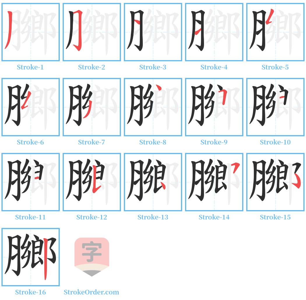 膷 Stroke Order Diagrams