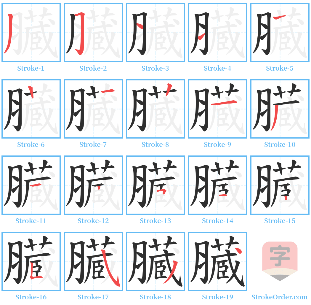 臓 Stroke Order Diagrams