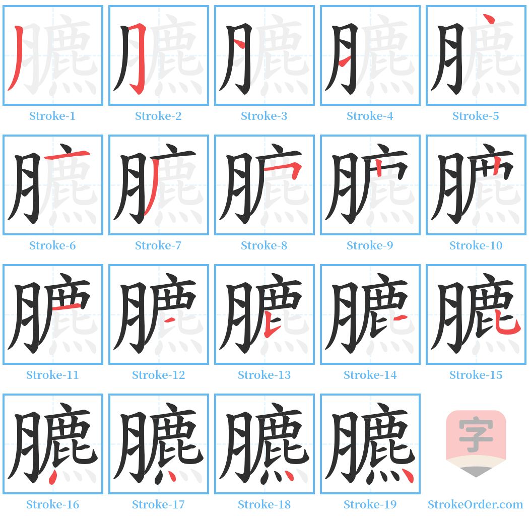 臕 Stroke Order Diagrams