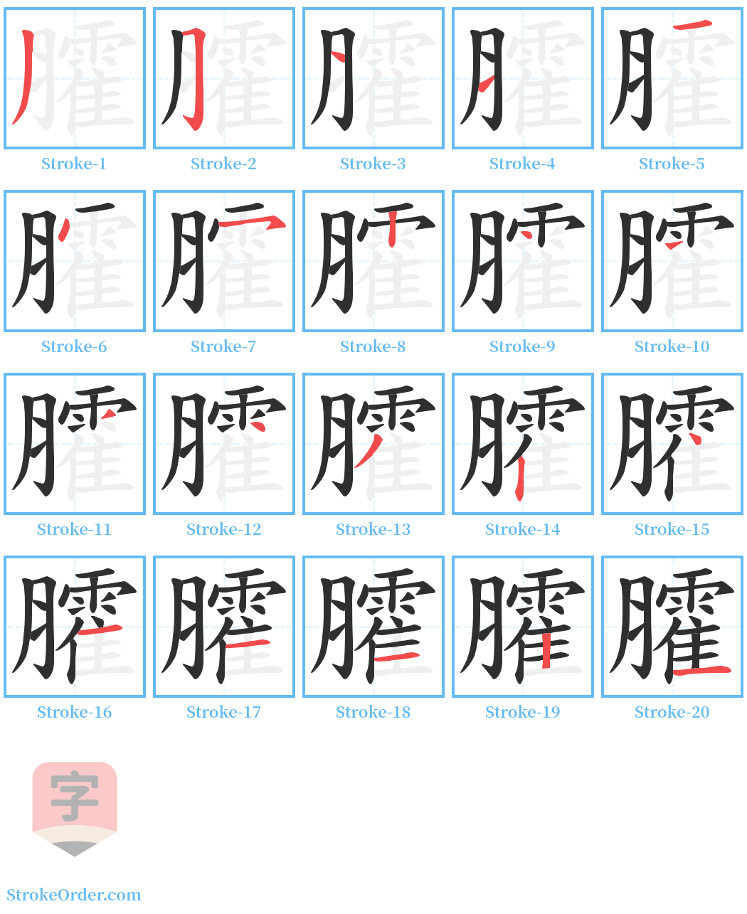 臛 Stroke Order Diagrams