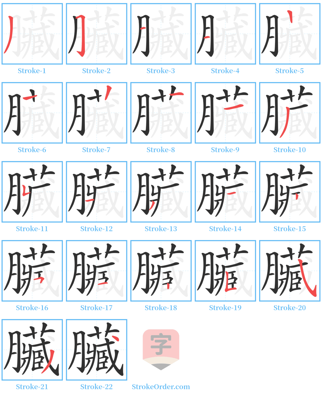 臟 Stroke Order Diagrams