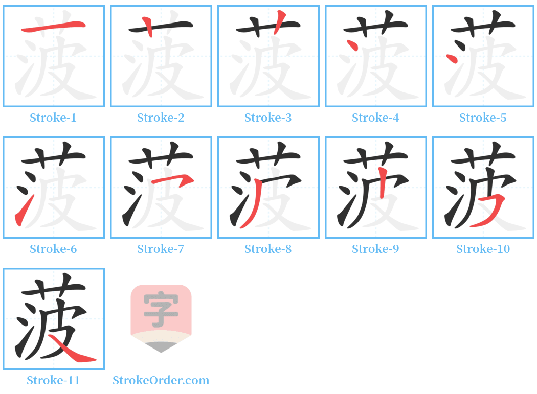 菠 Stroke Order Diagrams