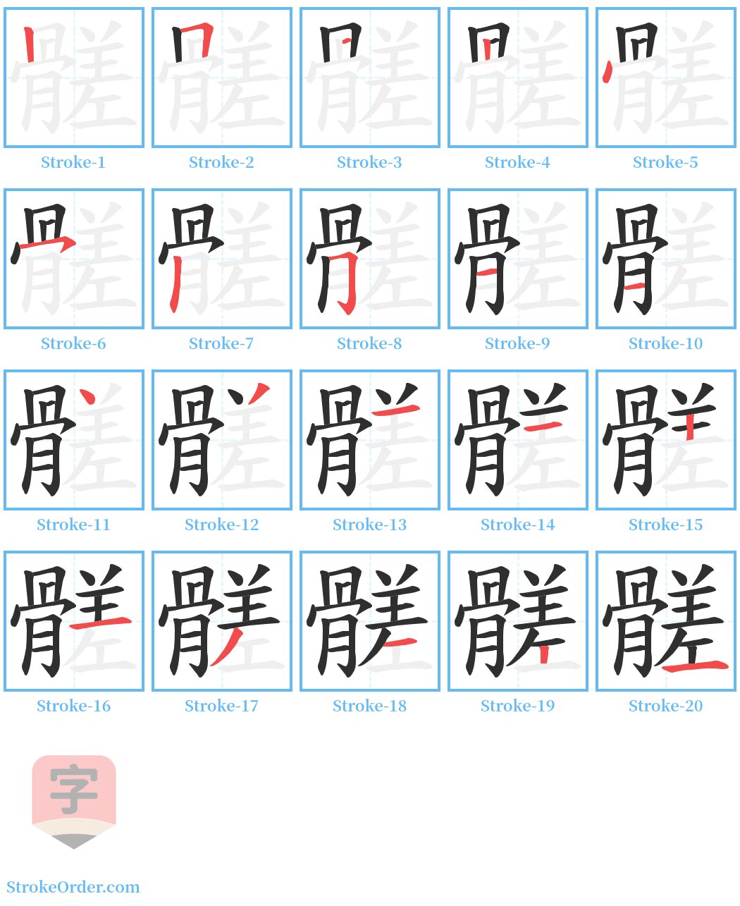 髊 Stroke Order Diagrams