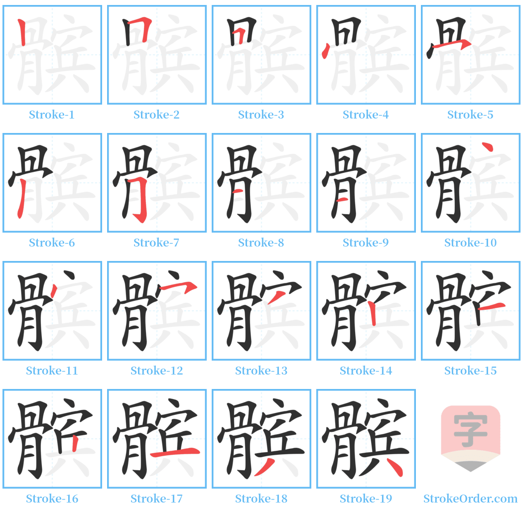 髌 Stroke Order Diagrams