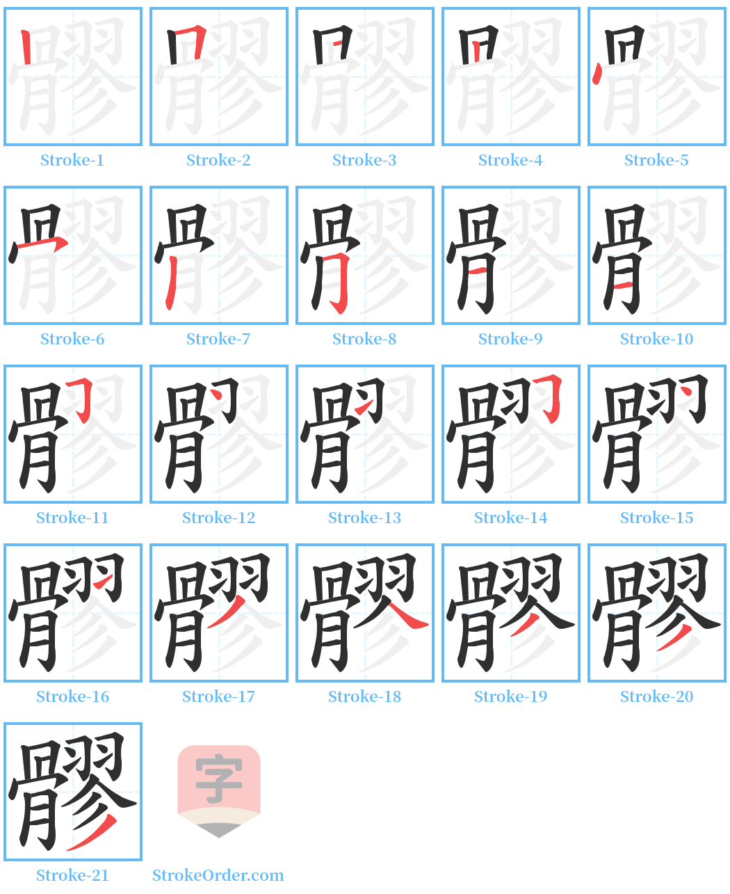 髎 Stroke Order Diagrams