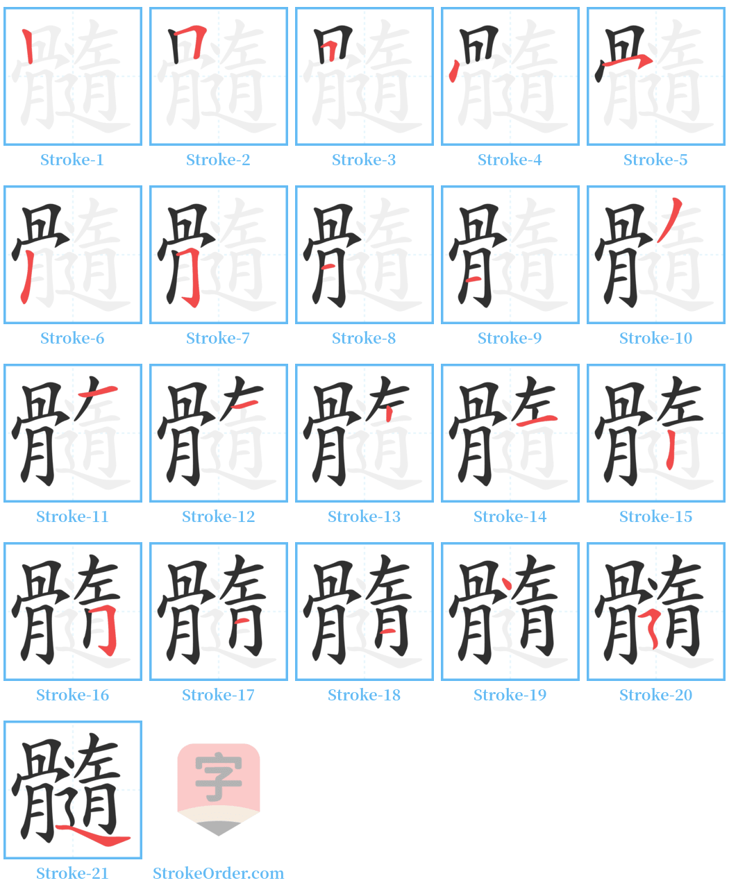 髓 Stroke Order Diagrams