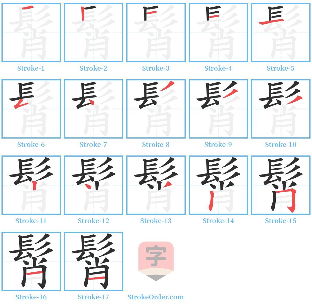 髾 Stroke Order Diagrams