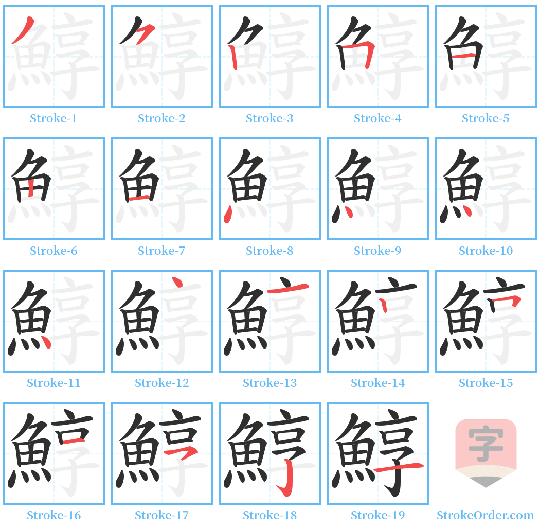 鯙 Stroke Order Diagrams