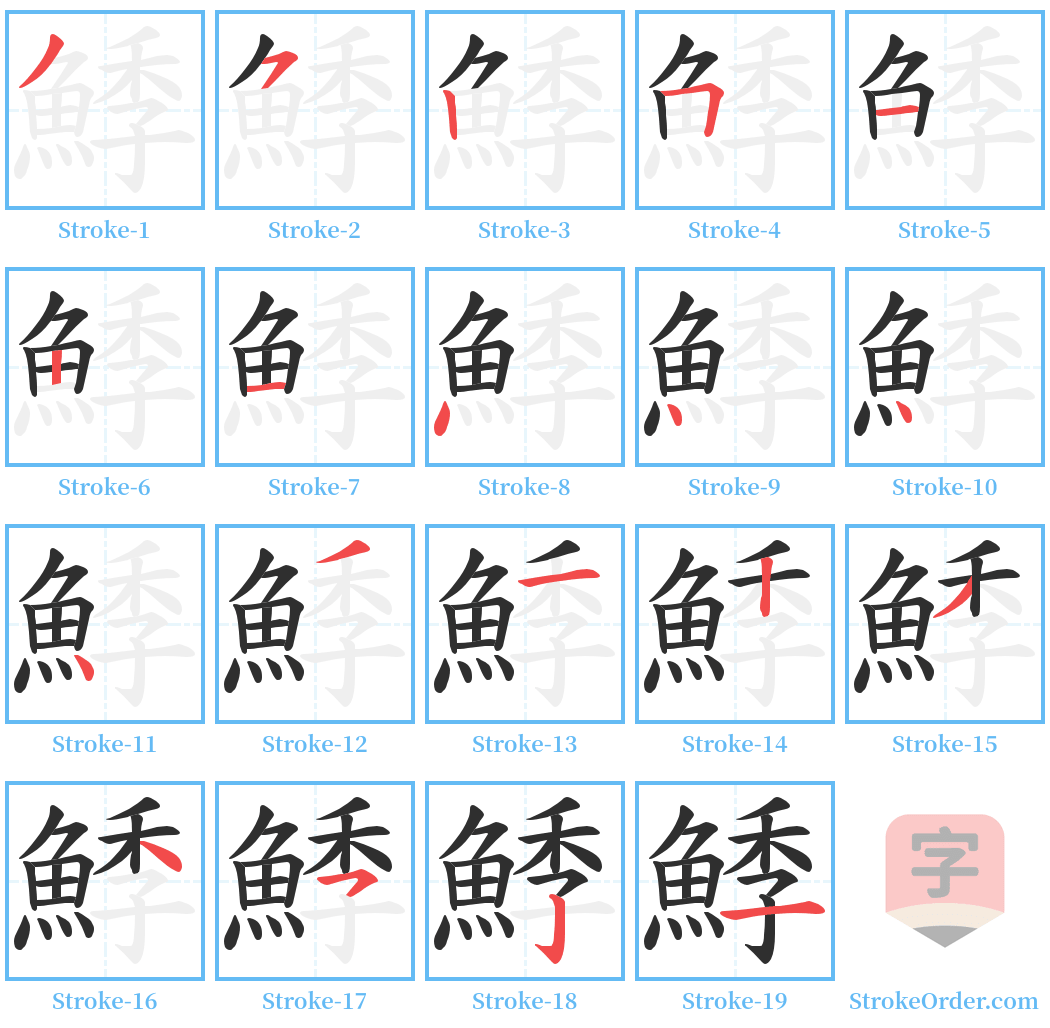 鯚 Stroke Order Diagrams