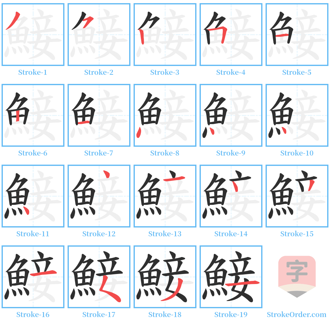 鯜 Stroke Order Diagrams