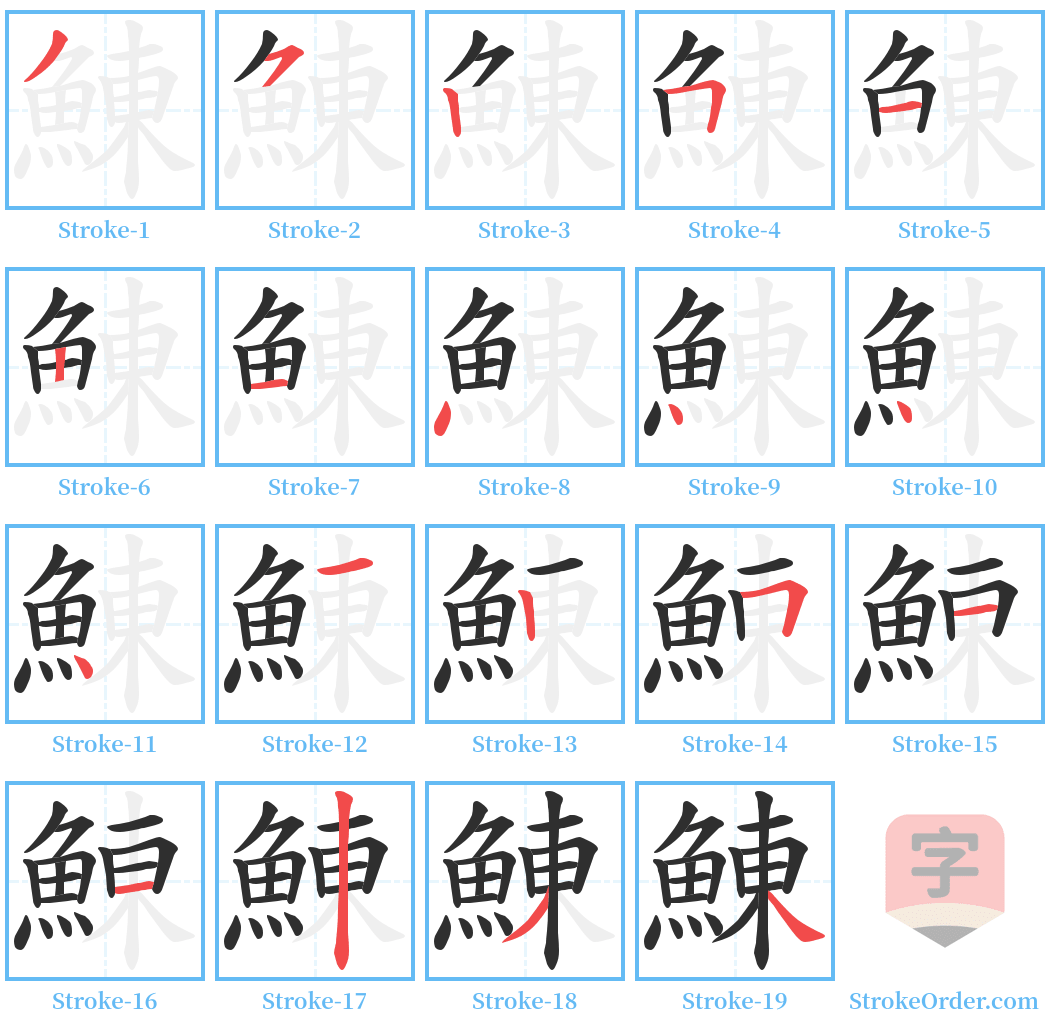 鯟 Stroke Order Diagrams