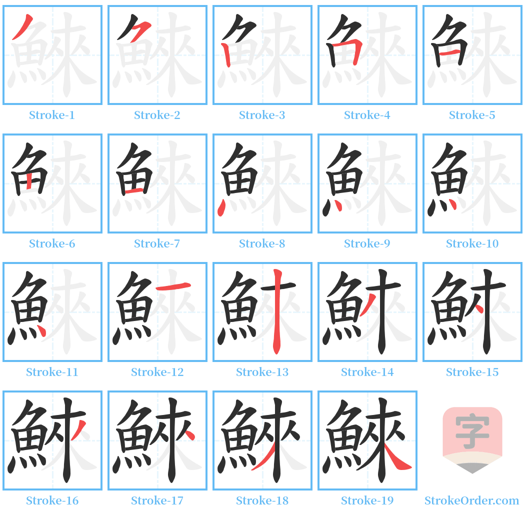 鯠 Stroke Order Diagrams