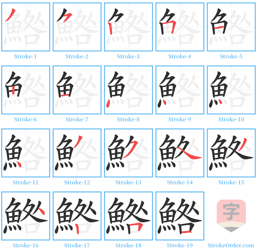 鯦 Stroke Order Diagrams