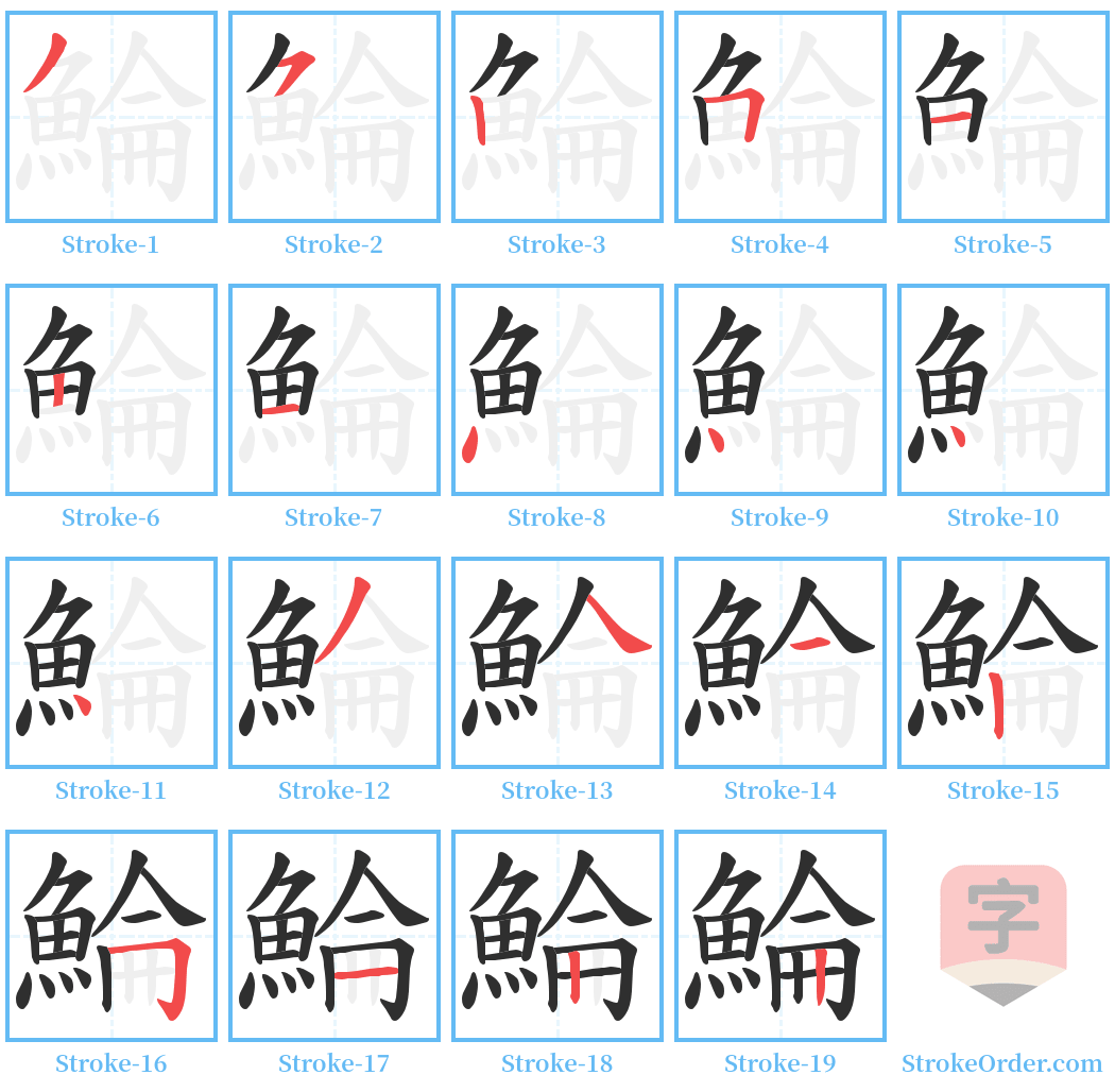 鯩 Stroke Order Diagrams