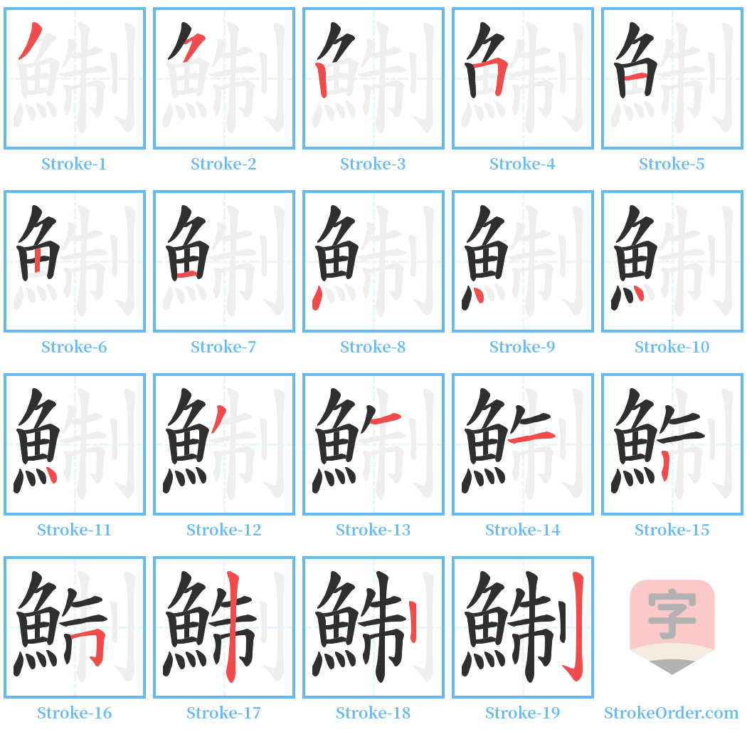 鯯 Stroke Order Diagrams