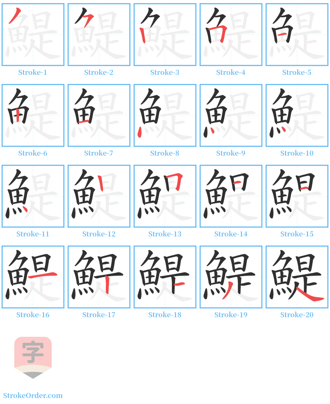 鯷 Stroke Order Diagrams