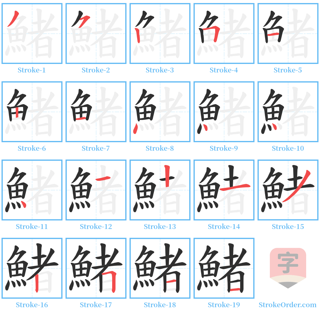 鯺 Stroke Order Diagrams