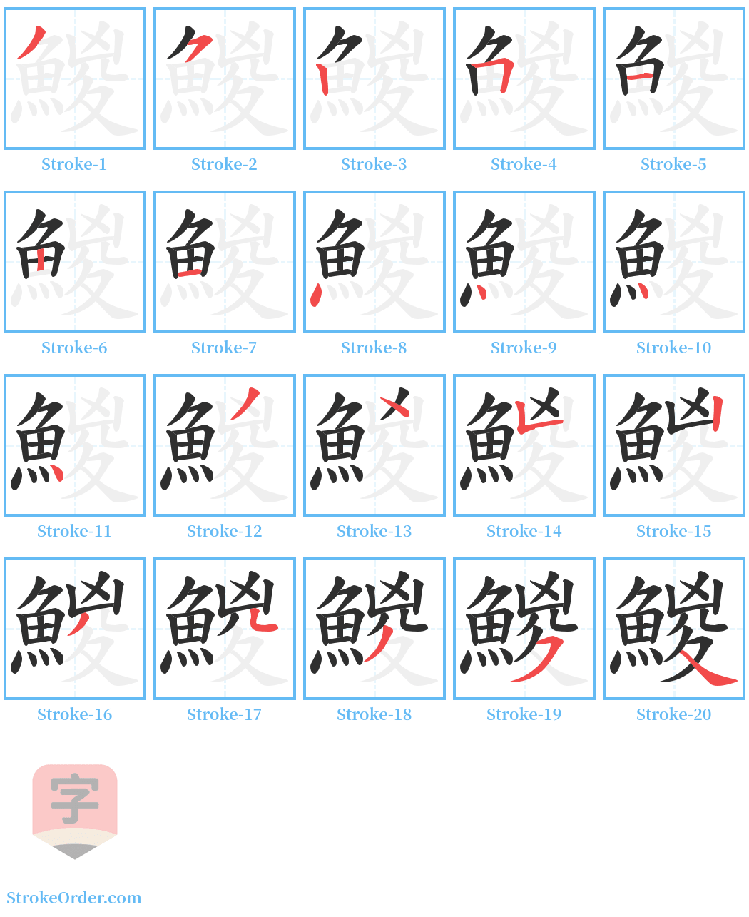 鯼 Stroke Order Diagrams