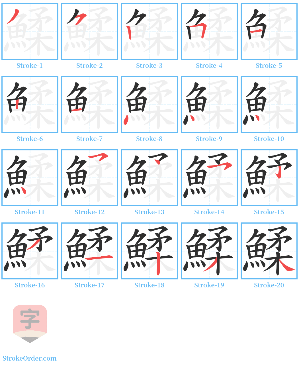 鰇 Stroke Order Diagrams