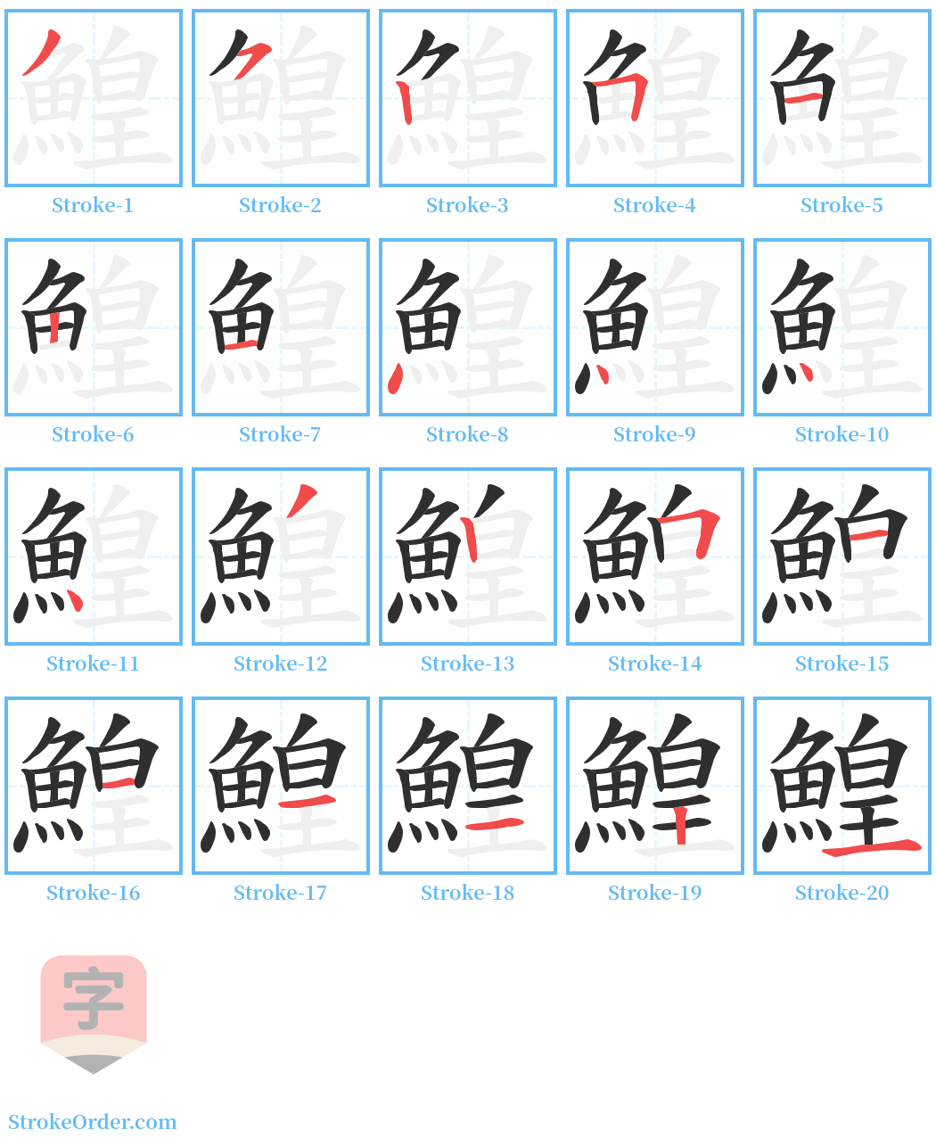 鰉 Stroke Order Diagrams