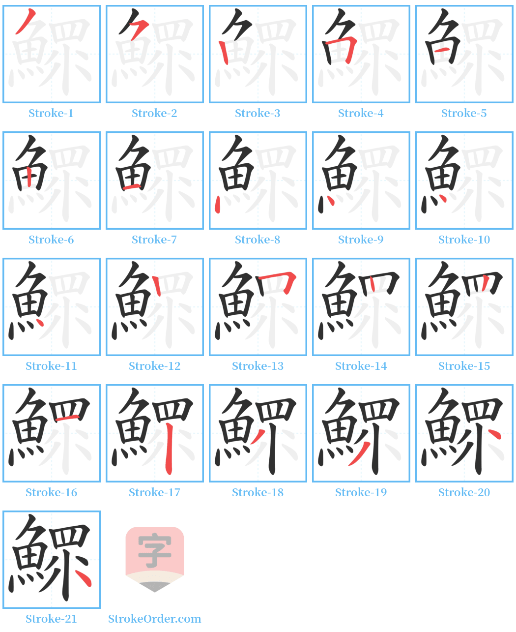 鰥 Stroke Order Diagrams