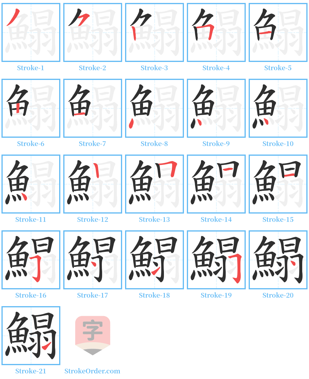 鰨 Stroke Order Diagrams