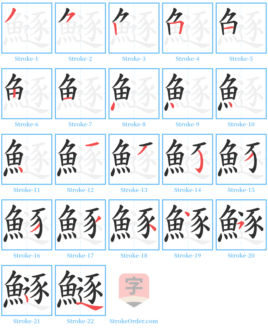 鱁 Stroke Order Diagrams