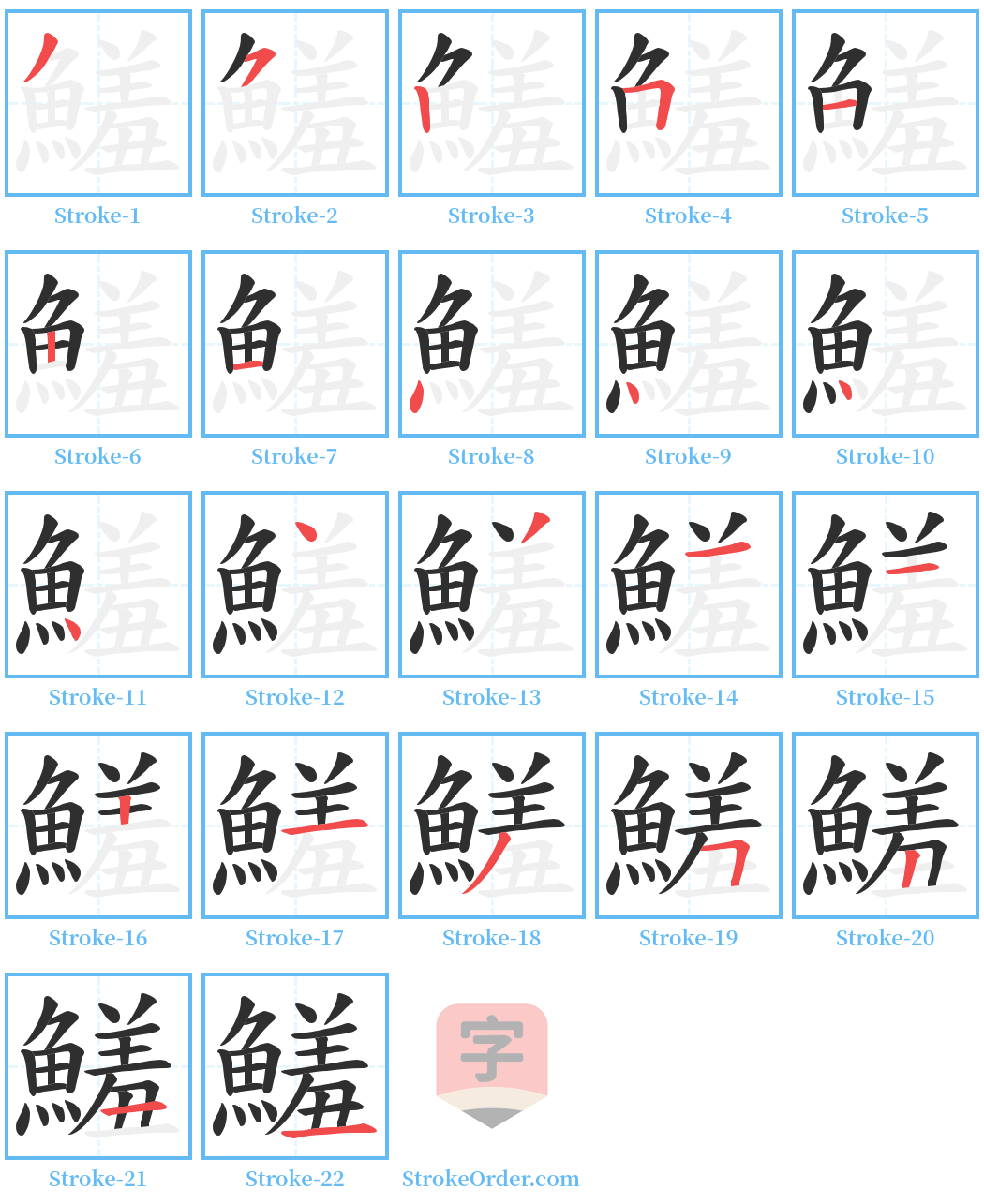 鱃 Stroke Order Diagrams