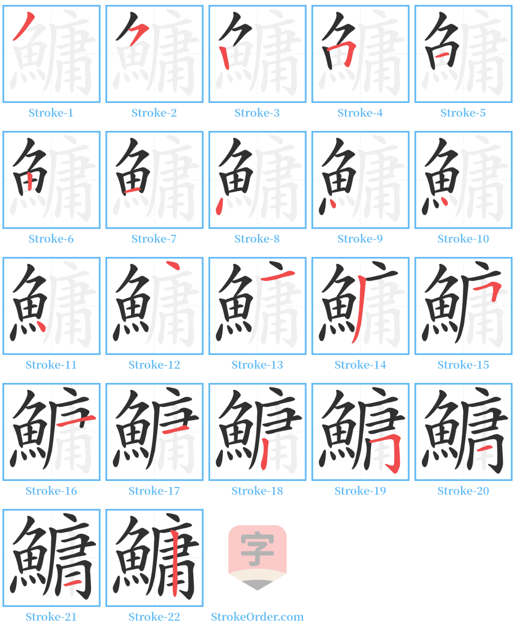 鱅 Stroke Order Diagrams