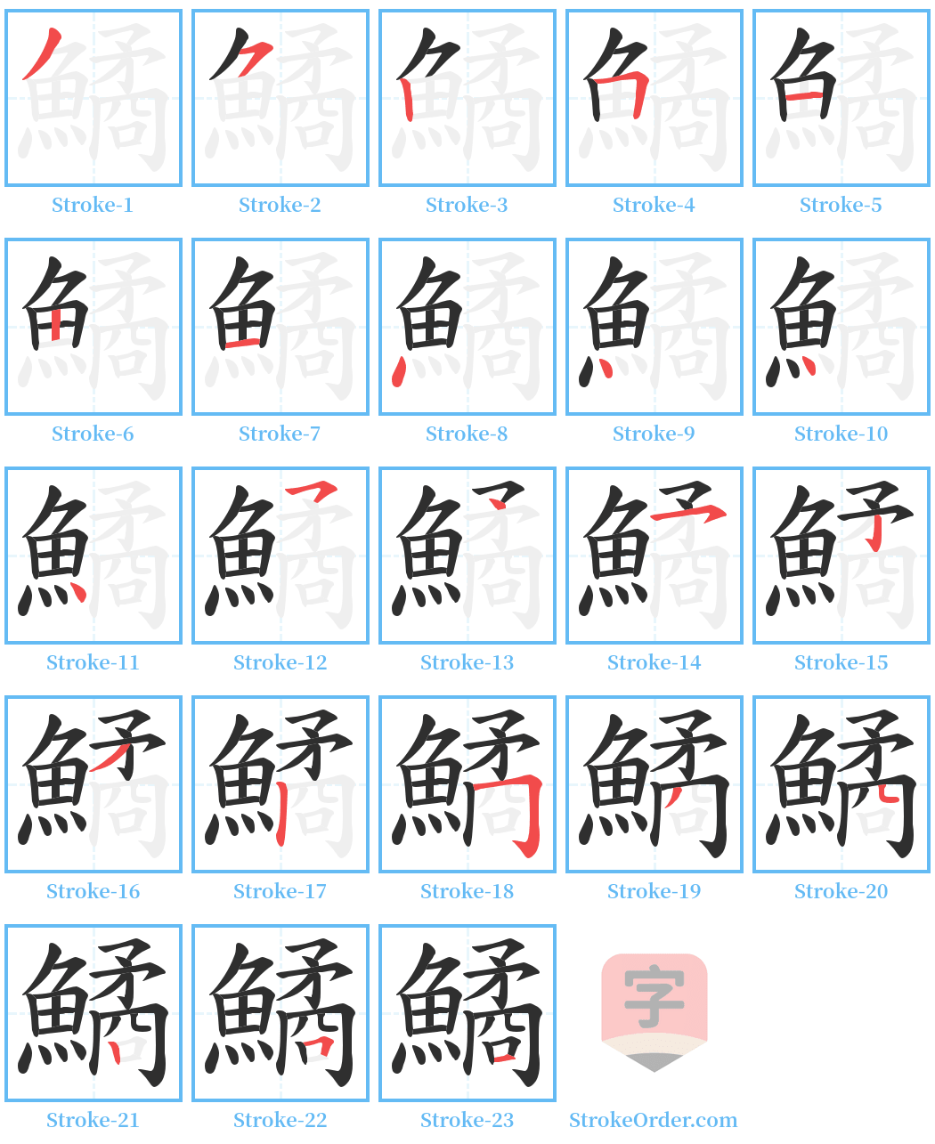 鱊 Stroke Order Diagrams