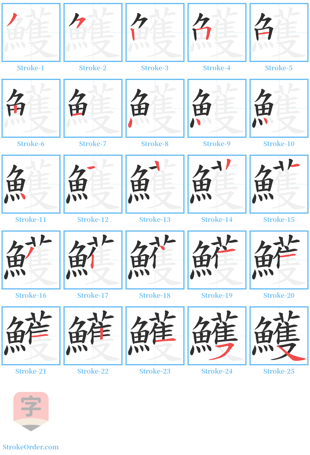 鱯 Stroke Order Diagrams