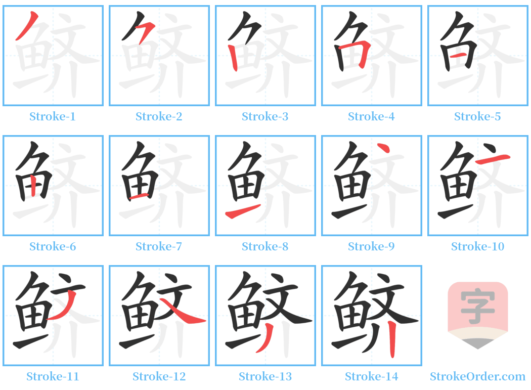 鲚 Stroke Order Diagrams