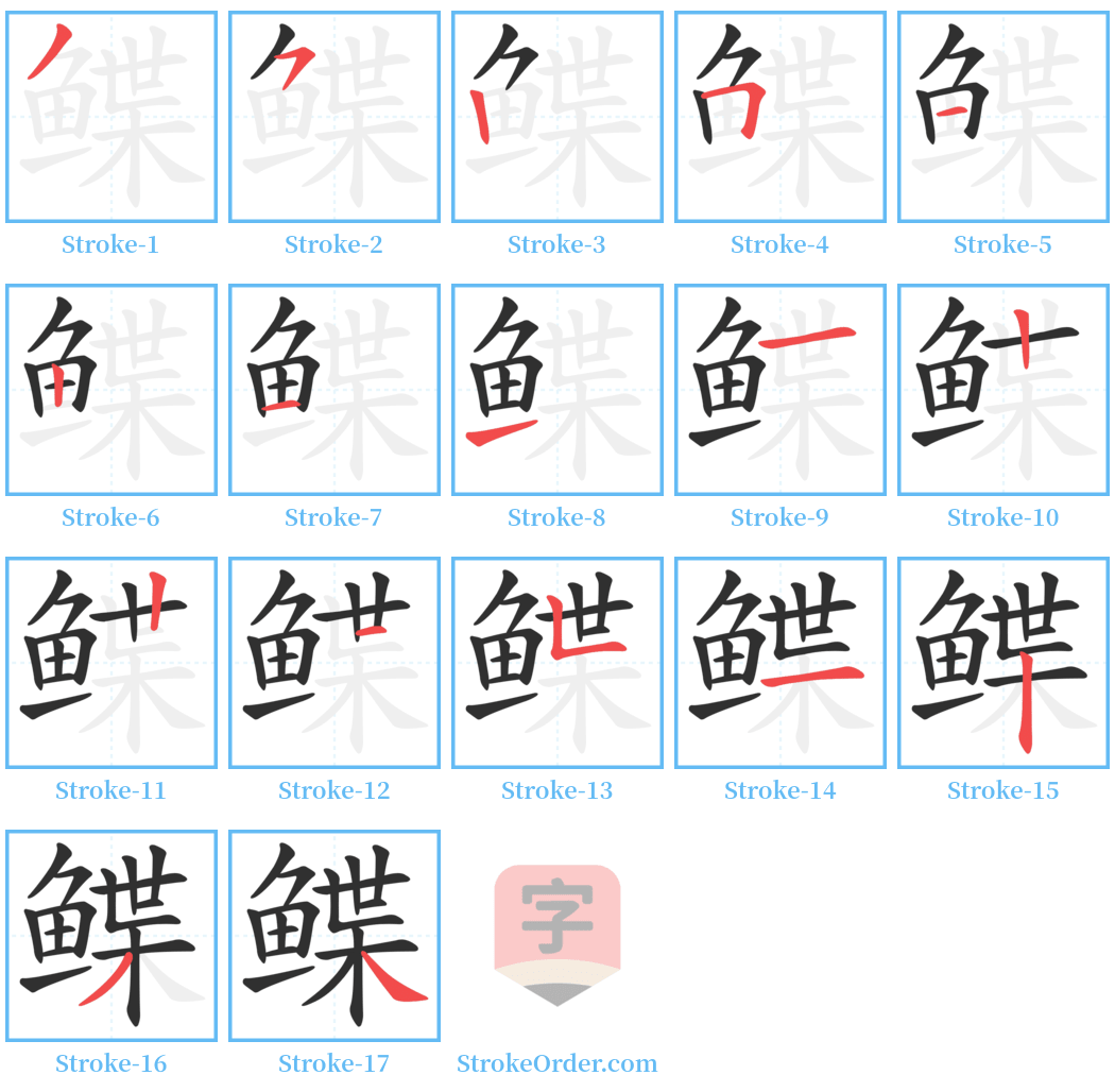 鲽 Stroke Order Diagrams