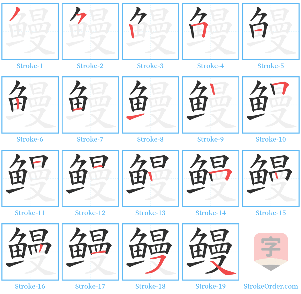 鳗 Stroke Order Diagrams