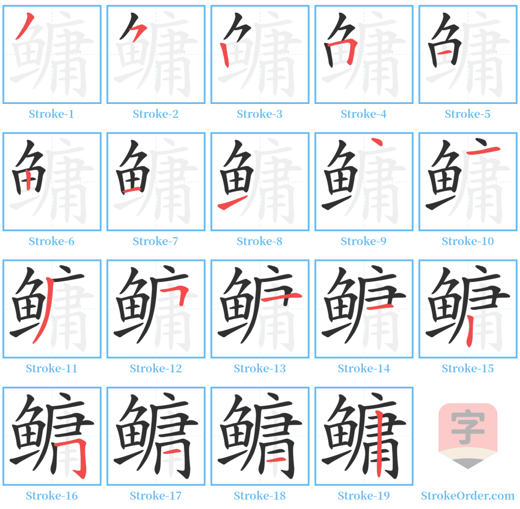 鳙 Stroke Order Diagrams