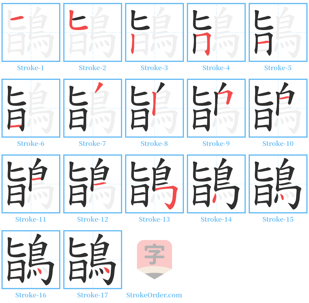 鴲 Stroke Order Diagrams