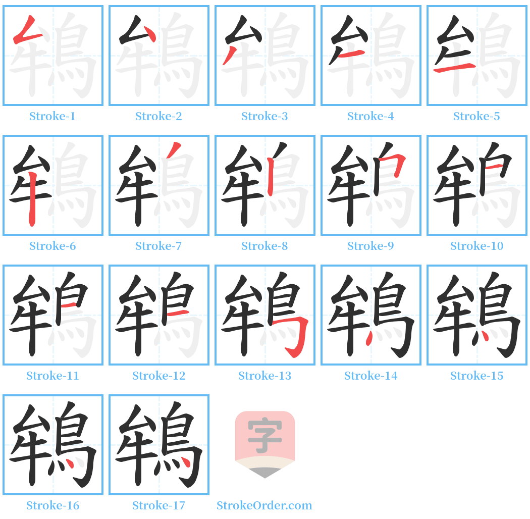 鴾 Stroke Order Diagrams