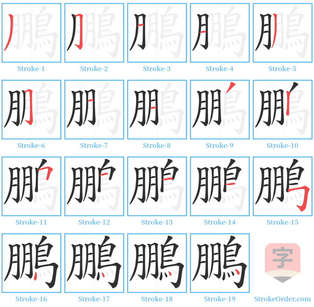 鵬 Stroke Order Diagrams